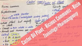 Castor Oil Plant  Ricinus communis  Ricin  Toxicology  Pharmacognosy UrduHindi [upl. by Yar]