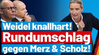 Merz stinksauer Alice Weidel rechnet knallhart mit der CDU ab  AfDFraktion im Bundestag [upl. by Geiger]