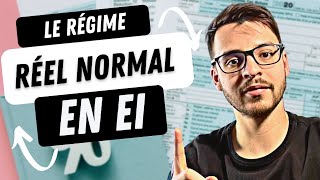 Le régime réel normal de lentreprise individuelle [upl. by Ethbinium]