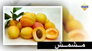 Les fruits en arabe الفواكه the fruits cours de langue arabe [upl. by Ybor]