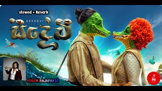 Seedevi  සිදේවි   piyath Rajapakse New song  Slowed  Reverb  Saji Beats [upl. by Nevad482]