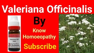 Valeriana Homeopathic Medicine  Valeriana Officinalis  Valeriana in Hindi [upl. by Mahan]