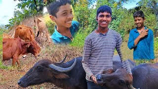 TO Aaj ka new blog  bail long ke sath masti full injoy viralvideoblogvideocomedy chetanvlog [upl. by Narton]