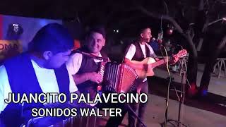 JUANCITO PALAVECINO  SONIDOS WALTER [upl. by Hebel]