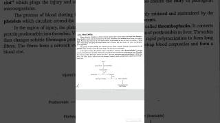 Blood clotting  mechanism and flow chart of blood clotting [upl. by Thirzi]