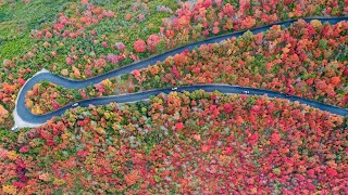 Wasatch Mountain State Park  Fall Colors [upl. by Peggie905]