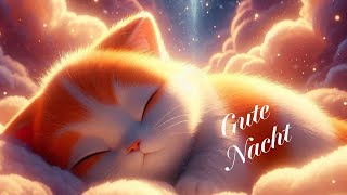 Abendgruß🌟 ein kleiner gute Nacht Gruß✨ [upl. by Pepper]