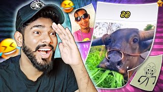 හරියට හුරතල් වෙන්නෙ මෙහෙමයි😻  Gazta react [upl. by Kerby165]