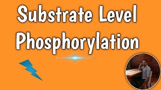 Substrate Level Phosphorylation Biochemistry ATP formation Process and examples ATP formation [upl. by Inohtna778]