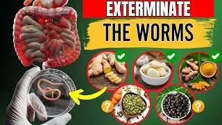 EXTERMINATE The Worms  14 Foods That Destroy Intestinal Parasites NOT WHAT YOU THINK [upl. by Beisel]