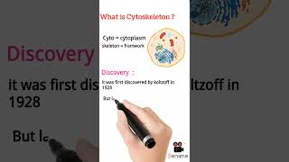 what is cytoskeleton [upl. by Anuat804]