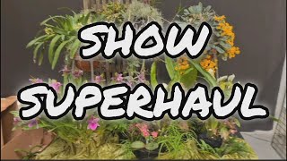 OCHID SHOW HUGE HAUL 2024 [upl. by Ahsen]