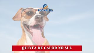 CALOR NESTA QUINTA MAS COM MUDANÇAS [upl. by Suertemed690]