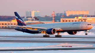 Aeroflot B777 SMOOTH  BUTTER  Landing at Moscow International Airport  Aerofly [upl. by Itoc]