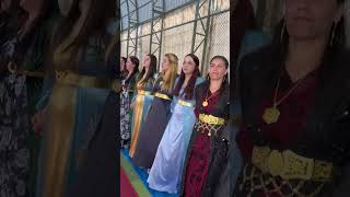 Kurdish DANCE ☀️ kurdishmusic hakkari wedding keşfet kurdistan halay düğün gever [upl. by Langbehn140]