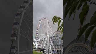 View of Antwerpen Central Train Station short shortvideo lovelygloinbelgium belgium [upl. by Arykat807]