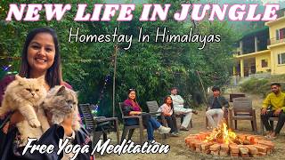 Cottages amp Camping  Homestay near Rishikesh  Free Yog amp Meditation with Flute  Best for Long Stay [upl. by Nogam159]