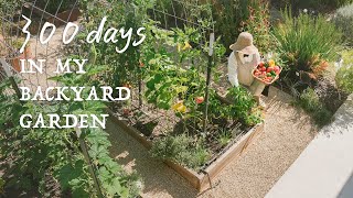 300 Days in my Backyard Garden amp Vegetable Harvesting｜Slow Suburb Life [upl. by Atiekal]