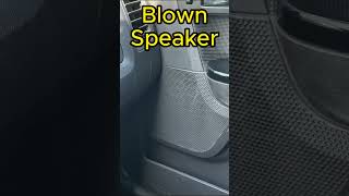 Blown Speaker [upl. by Newcomb]