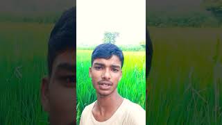 Kone nagariya banana baha haradiy tora lago ho ge shortsfeed viral trundling youtubeshorts [upl. by Repinuj]