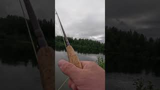 fisherman sportfishingonthefly fishing sportfish flyfisherman sportfishing sport trout ak [upl. by Wurst]