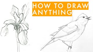 How to draw anything  learn sketching for beginners in 7 steps [upl. by Pfeifer]