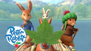 Peter Rabbit  Camping by the Lake  Cartoons for Kids [upl. by Rossuck129]