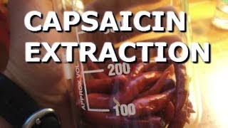 How to extract capsaicin from peppers [upl. by Tacy68]