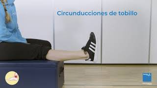 Circunducciones de tobillo [upl. by Padegs]