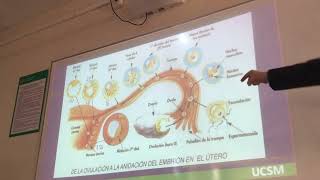 OBSTETRICIA CLASE 4 FASE 1  PLACENTA Y MEMBRANAS FETALES [upl. by Reiche]