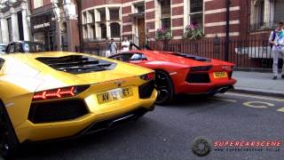 Lord Aleem TERRORIZES London Full Video [upl. by Nyladnarb]