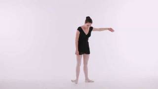 How to Do the 5 Basic Positions  Ballet Dance [upl. by Aerdnas]