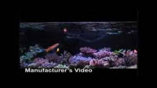 Ocean Nutrition Formula One RDF Frozen Fish Food  DrsFosterSmithcom [upl. by Paulie]