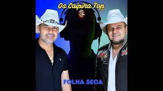 FOLHA SECA  OS CAIPIRAS TOP PLAYBACK [upl. by Aimak]