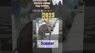 Worlds Ugliest dog contest 2024 and all previous winners  Wild thang  Scooter  shorts [upl. by Spence]