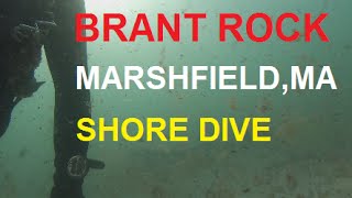 Brant Rock  Marshfield MA  Shore Dive [upl. by Phil]