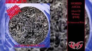 MORBID ANGEL Altars Of Madness FDR Full Album [upl. by Ro]