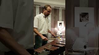 Playing fast Xylophone quotZirkus Renzquot shorts xylophone [upl. by Canice]