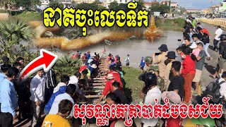 ផ្អើលទៅមើលនាគផុស សុវណ្ណភេត្រាបាត់ដំបងសជ័យ ល្បីខាងល្បឿន លឿនដូចហោះ  កម្មវិធីប្រណាំងទូកង បាត់ដំបង [upl. by Hank]