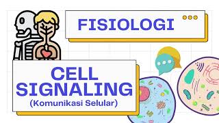 Komunikasi SelCell Signaling Autocrine Paracrine Endocrine amp Transduksi Signal  Fisiologi 101 [upl. by Amsden958]