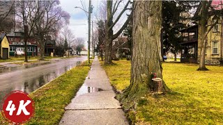 Walk in the Winter Rain  Waterloo Town Square 🇨🇦  ASMR 4K 60fps [upl. by Orutra]