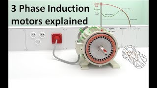 Construction of Three Phase Induction Motor  Three Phase Induction Motor  Electrical Machines 3 [upl. by Dona391]