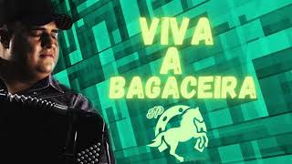 Viva bagaceira Tarcísio do acordeon 🎶 [upl. by Gabriella]