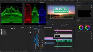 Legal Video adobepremierepro [upl. by Necyla]