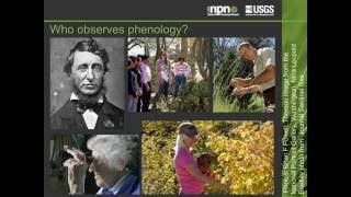 Introduction to Phenology [upl. by Erdreid]