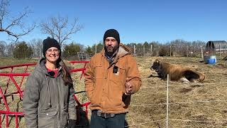 Our Dairy Cow is the MOST Important Animal on the Homestead [upl. by Einreb]