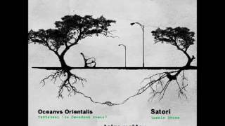 Oceanvs OrientalisTarlabasi Be swendsen rmx vs Satoriİmanis Dress Tolga Maktay mashUP [upl. by Aymahs]