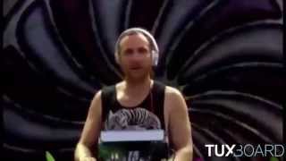 David Guetta Tomorrowland 2014  MEME [upl. by Loria910]