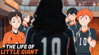 The Life of Little Giant HAIKYUU [upl. by Bala]