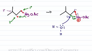 Oxymercuration Demercuration Reduction  Alkene Reaction Mechanism by Leah Fisch [upl. by Nabalas]